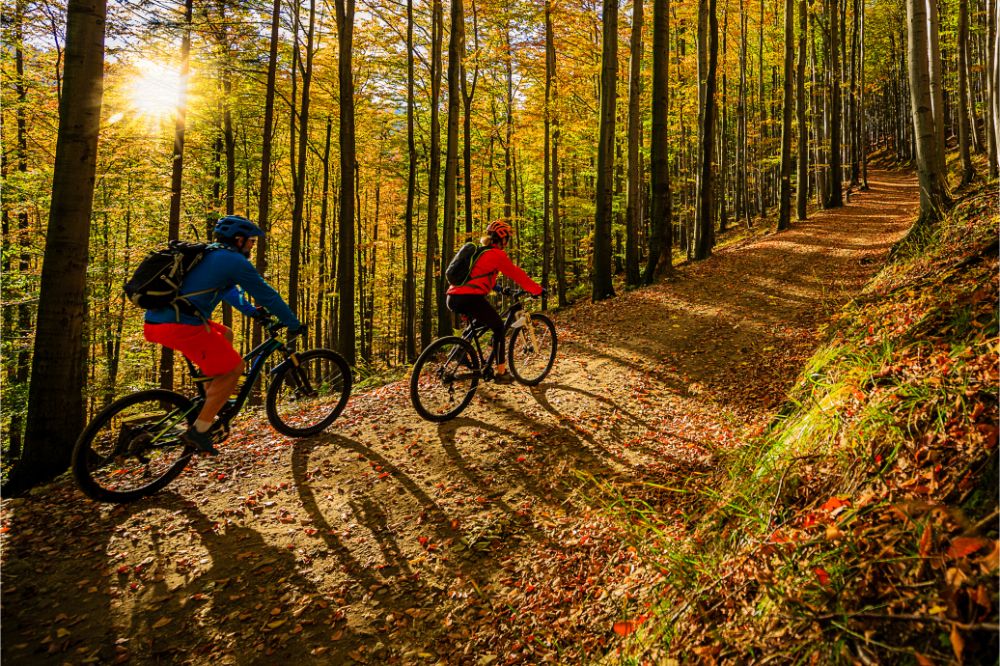 mountain biker couple on cycle trail in autumn forest